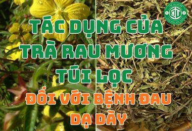 Tác Dụng Của Trà Rau Mương Túi Lọc Đối Với Bệnh Đau Dạ Dày