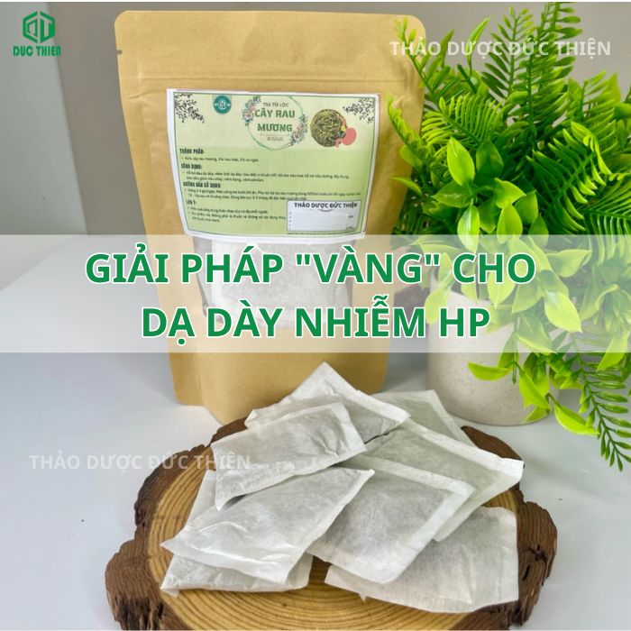 tác dụng của trà rau mương túi lọc