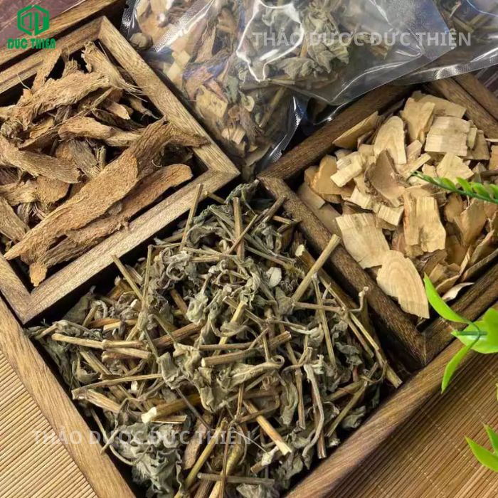 thiên niên kiện cỏ xước nổ gai