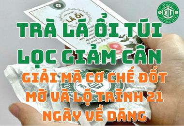 Trà Lá Ổi Túi Lọc Giảm Cân: Giải Mã Cơ Chế Đốt Mỡ Và Lộ Trình 21 Ngày