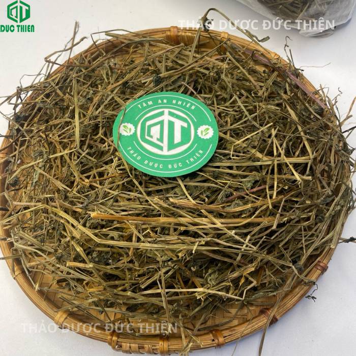 Tác dụng của bán chi liên trong việc hỗ trợ điều trị xơ gan cổ trướng và tiêu giảm dịch ổ bụng