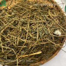 Cận cảnh thân và lá cây bán chi liên sấy khô màu xanh xám nhạt giúp ức chế khối u và giải độc