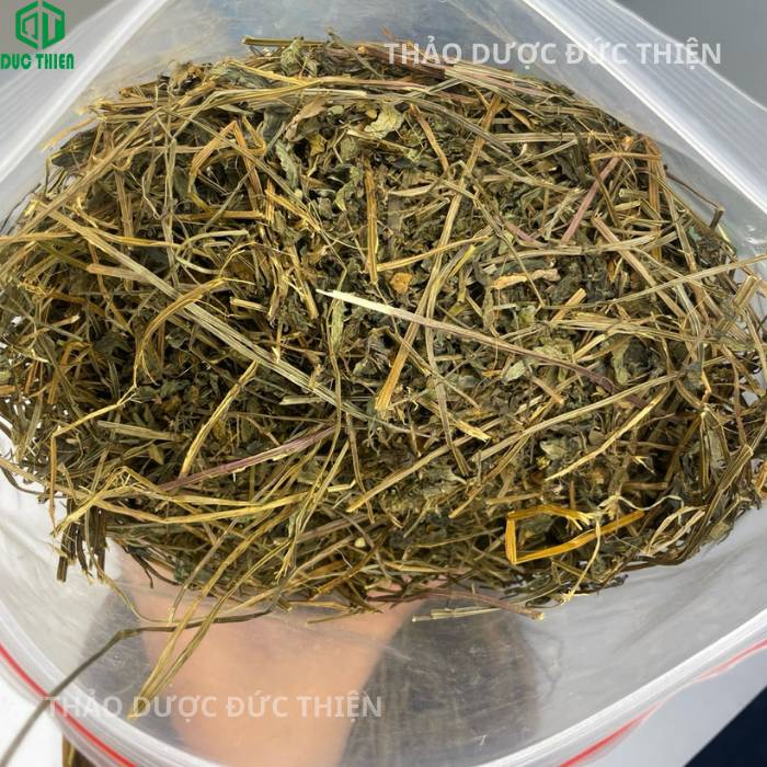 Bộ ba bài thuốc bán chi liên bạch hoa xà và xạ đen là khắc tinh của tế bào ung thư và khối u