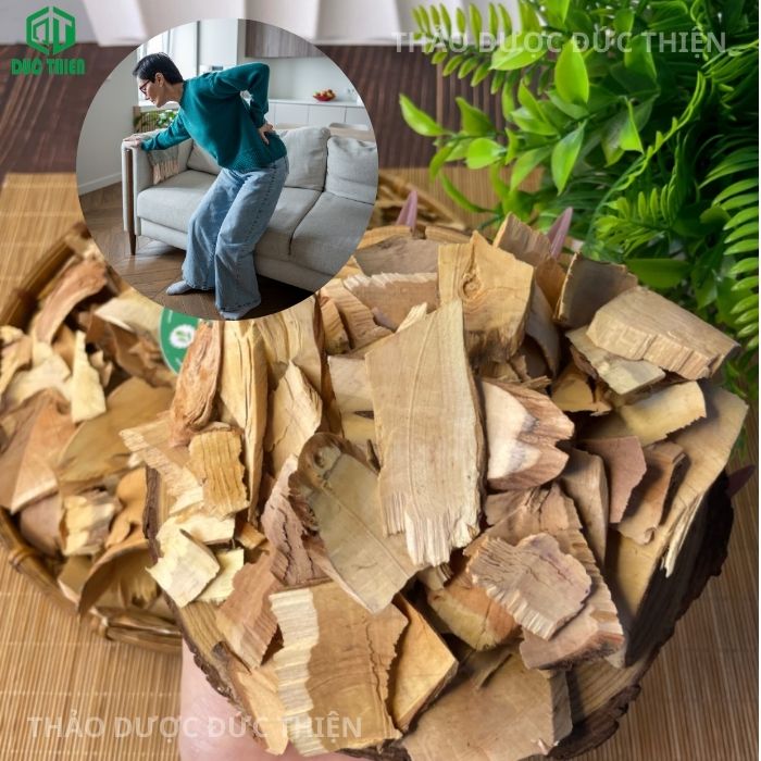 cây nổ gai là cây gì