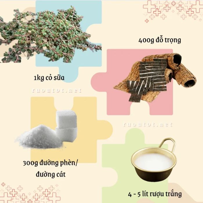 Bài thuốc an thai từ đỗ trọng sao và tục đoạn giúp làm bền thành mạch tử cung cho sản phụ