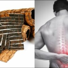 Tác dụng của đỗ trọng trong việc hỗ trợ an thai và giảm đau thắt lưng cho phụ nữ mang thai