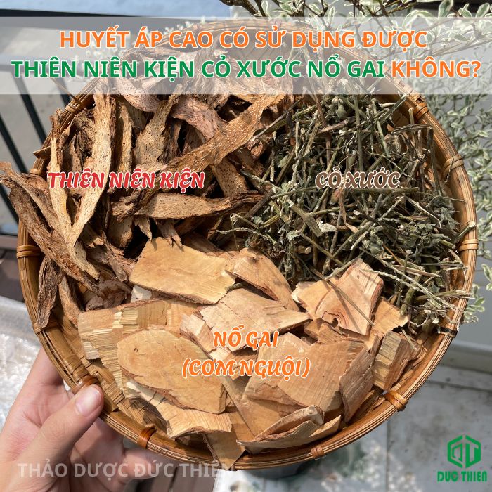 Thiên niên kiện cỏ xước nổ gai