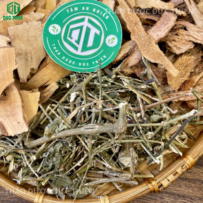 Thiên niên kiện cỏ xước nổ gai