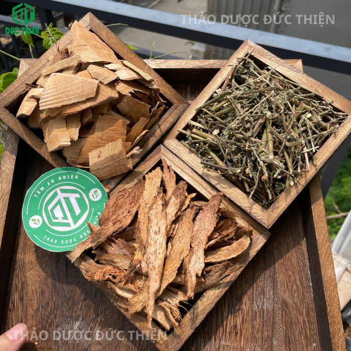 Thiên niên kiện cỏ xước nổ gai