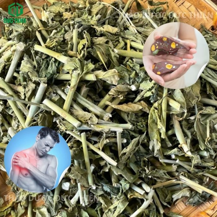 tác dụng cây xương khỉ