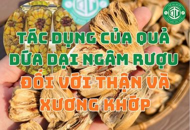 Tác Dụng Của Quả Dứa Dại Ngâm Rượu Đối Với Thận Và Xương Khớp