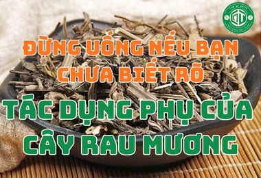 Đừng Uống Nếu Bạn Chưa Biết Rõ Tác Dụng Phụ Của Cây Rau Mương
