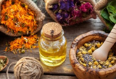 Thảo Dược Tốt Cho Xương Khớp: 5 Vị Thuốc Nam Người Trung Niên Nên Biết