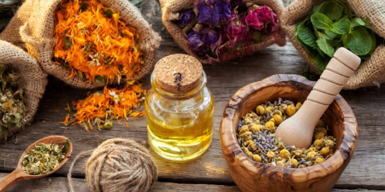 Thảo Dược Tốt Cho Xương Khớp