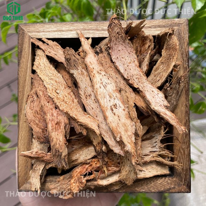 Thiên niên kiện có trị thần kinh tọa không