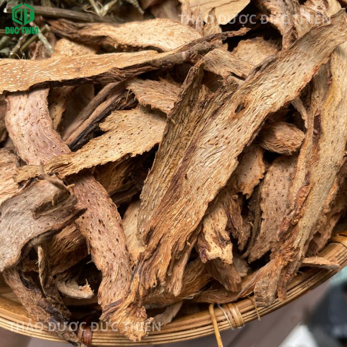 Thiên niên kiện có trị thần kinh tọa không