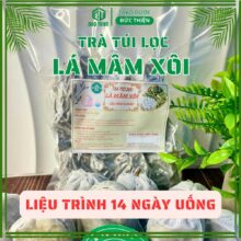 bao bì sản phẩm trà mâm xôi túi lọc thảo dược liệu trình 14 ngày