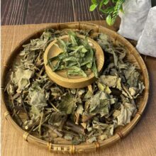 nguyên liệu lá mâm xôi khô dùng làm trà mâm xôi túi lọc thảo dược