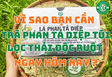 Vì Sao Bạn Cần Trà Phan Tả Diệp Túi Lọc Thải Độc Ruột Ngay Hôm Nay?