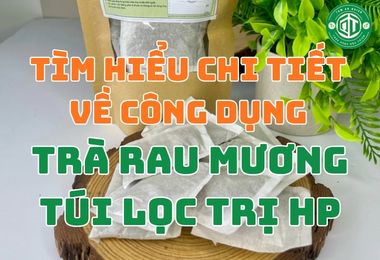 Tìm Hiểu Chi Tiết Về Công Dụng Của Trà Rau Mương Túi Lọc Trị HP