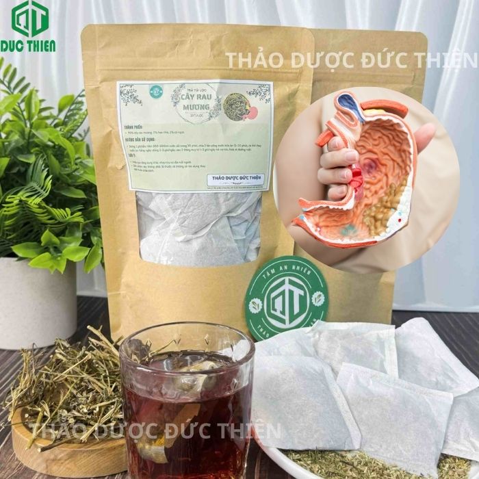 trà rau mương túi lọc trị HP