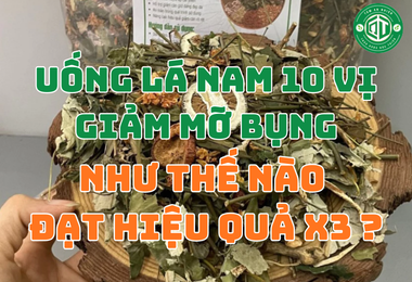 Uống Lá Nam 10 Vị Giảm Mỡ Bụng Như Thế Nào Đạt Hiệu Quả X3