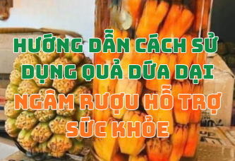 Bật Mí Tác Dụng Của Quả Dứa Dại Ngâm Rượu & Cách Ngâm Chuẩn Vị