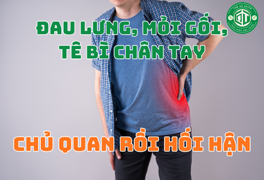 Đau Lưng, Mỏi Gối, Tê Bì Chân Tay: Tiếng Chuông Cảnh Báo Từ Cơ Thể Và Cách Chăm Sóc Tự Nhiên
