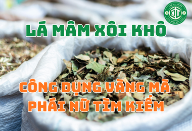 Công Dụng Toàn Diện Của Trà Lá Mâm Xôi Đối Với Sức Khỏe