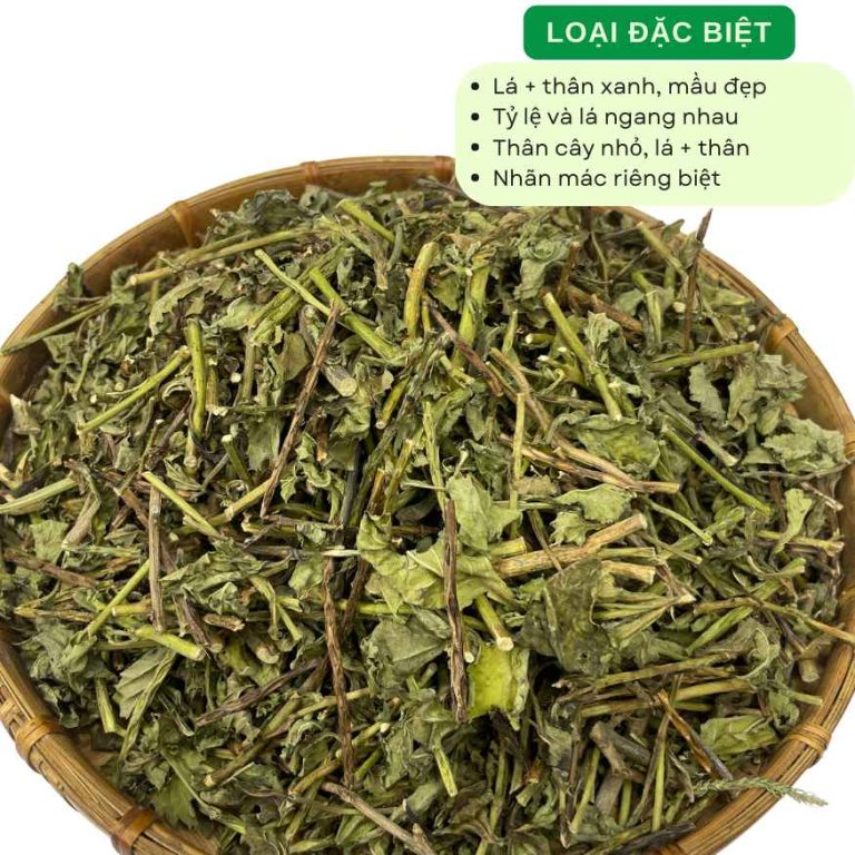 Dược liệu cây khô đuôi chuột loại đặc biệt dạng lá và thân nhỏ, màu xanh tự nhiên, nguyên liệu thảo dược sơ chế