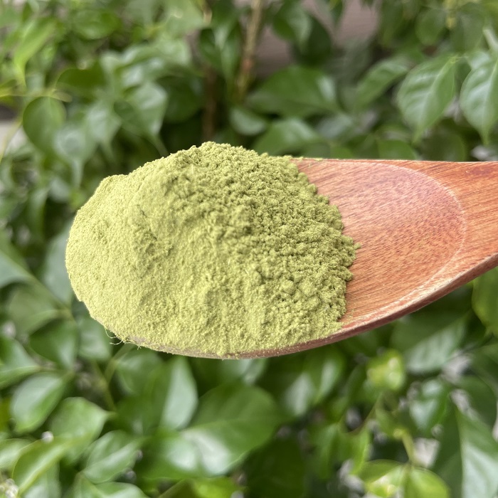 Bột lá neem là thảo dược nước ngoài được nhiều chị em ưa chuộng tìm kiếm và sử dụng