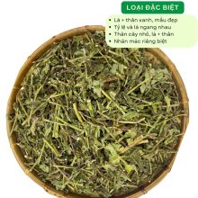 Cây đuôi chuột khô loại đặc biệt, lá và thân xanh đẹp, tỷ lệ lá thân cân đối, dược liệu sạch tự nhiên
