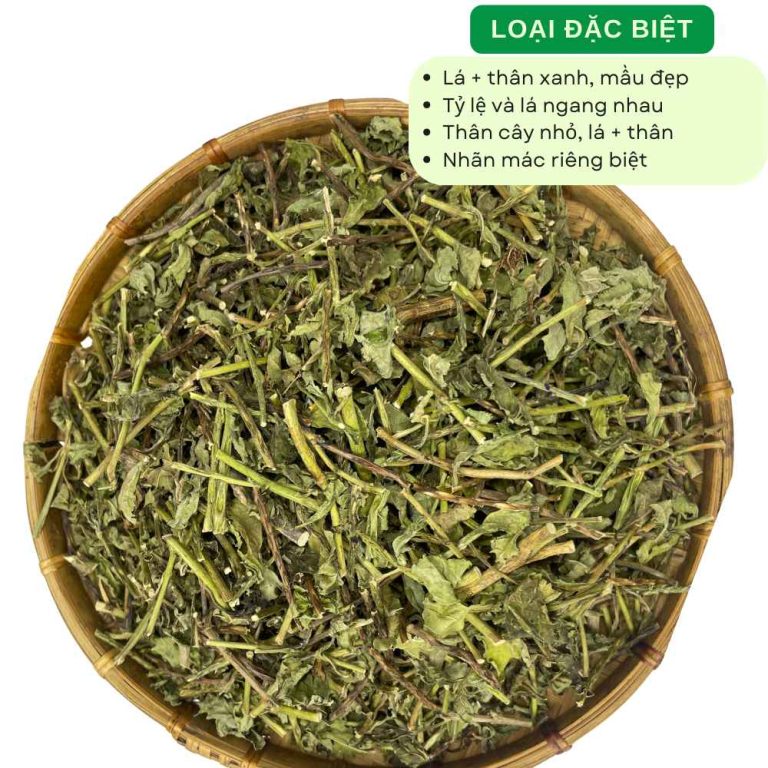 Cây đuôi chuột khô loại đặc biệt, lá và thân xanh đẹp, tỷ lệ lá thân cân đối, dược liệu sạch tự nhiên