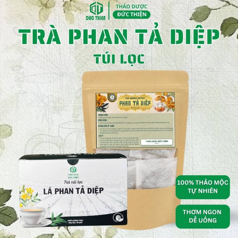 Phan tả diệp túi lọc 30 túi
