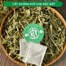 Cây xương khỉ
