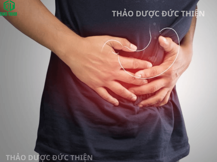 Không nên uống trà lá nam 10 vị quá sát giờ ngủ và khi đói.