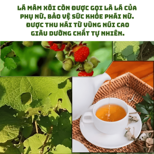 Trà mâm xôi 14 túi lọc