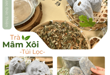 Trà Mâm Xôi Mua Ở Đâu Uy Tín? Trà Lá Mâm Xôi Túi Lọc Đức Thiện