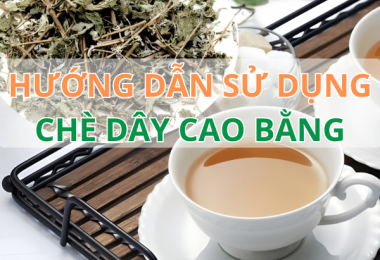Cách Sử Dụng Chè Dây Chuẩn Và Cách Nhận Biết Chè Dây Ngon Của Thảo Dược Đức Thiện